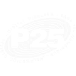 P25